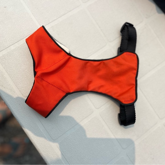 Dog Accessories - Picture 11 of 12